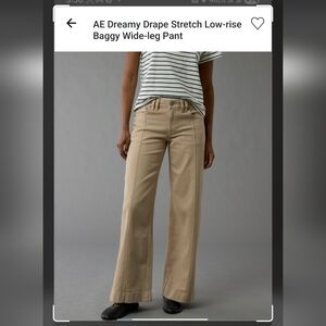 American Eagle Outfitters Wide-Leg Pants (Olive Color)